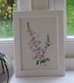 Pink foxglove, framed original watercolour painting  - Image 1