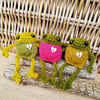 Three Handmade Froglets in a Gift Box - Friendship Gift - Frog Lover Present