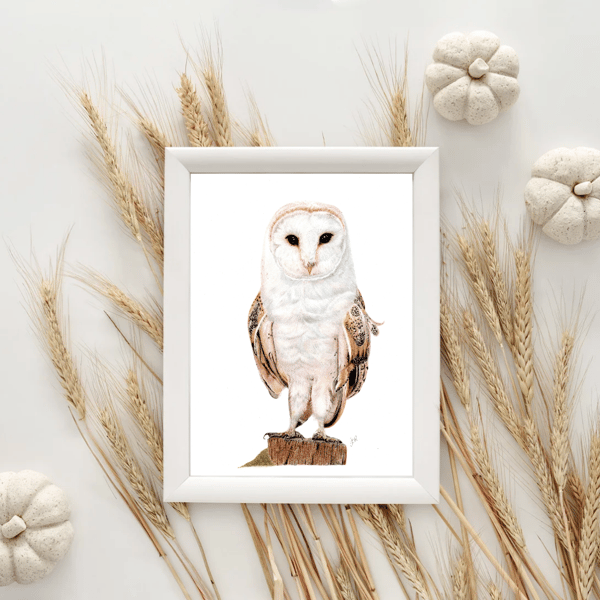 British Barn Owl Giclee Fine Art Print A4 drawing 
