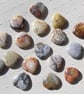 6 Crazy Lace Agate Solid Gemstone Polished Hearts - 20mm - Chakra - Crafting - Image 4