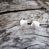 Venus Shell Stud Earrings