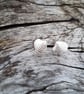 Venus Shell Stud Earrings - Image 1