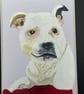 Original painting of a white dog 5x7" in acrylic pet portrait  - Image 4