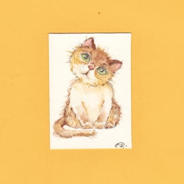 ACEO original painting of a Kitty Cat. Kitten miniature original painting 