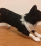 Border Collie - Image 1