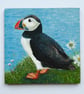 Puffin Magnet, Claire Kirkpatrick 