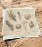 Coastal Discoveries Handmade Greeting Card – Beach Finds Card. Seaside Nature - Image 3