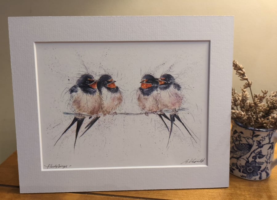  Swallow Fledglings, a print of an original painting