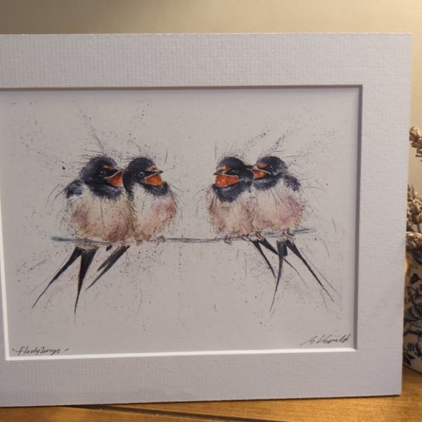  Swallow Fledglings, a print of an original painting