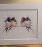  Swallow Fledglings, a print of an original painting