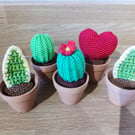 Crocheted plants in terracotta pot; Hoya, Snake Plant and Cactus