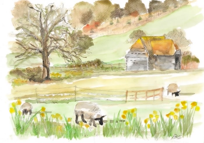 Coast & Countryside Art