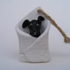 Black dog in blanket (4)