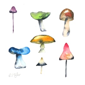 "Fun Guys" a limited edition print watercolour of British Mushrooms