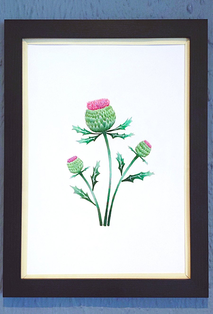 A3 Size Framed Print Painting Scottish Thistles Flowers Vanilla Border Wallart