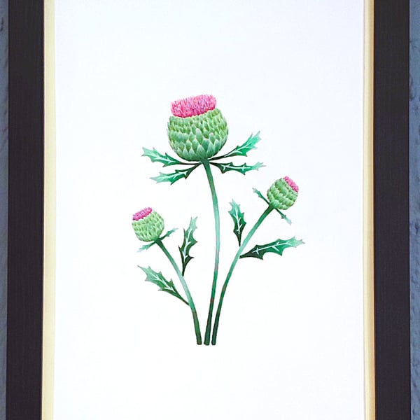 A3 Size Framed Print Painting Scottish Thistles Flowers Vanilla Border Wallart