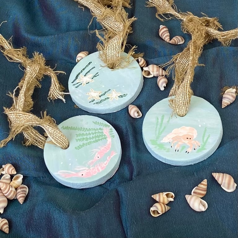 Coastal Drift, Rockpool - hand-painted hanging decorations (set of 3)