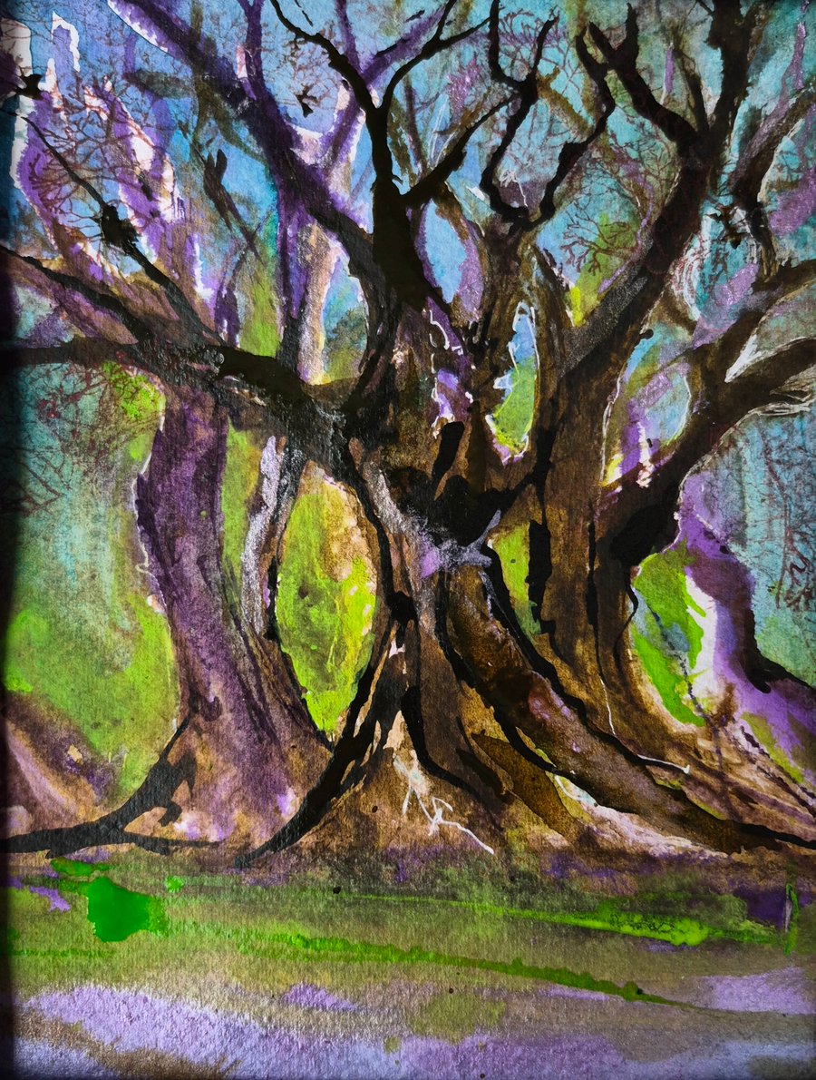 "Where the trees listen"   