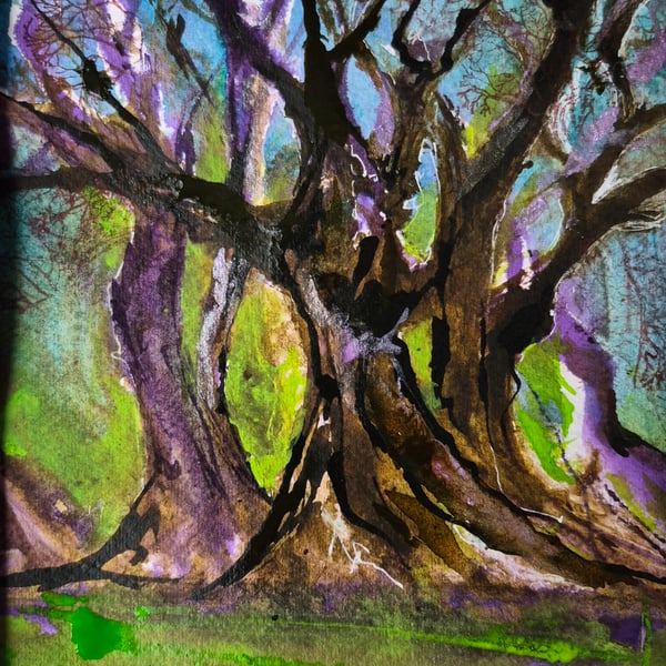 "Where the trees listen"   