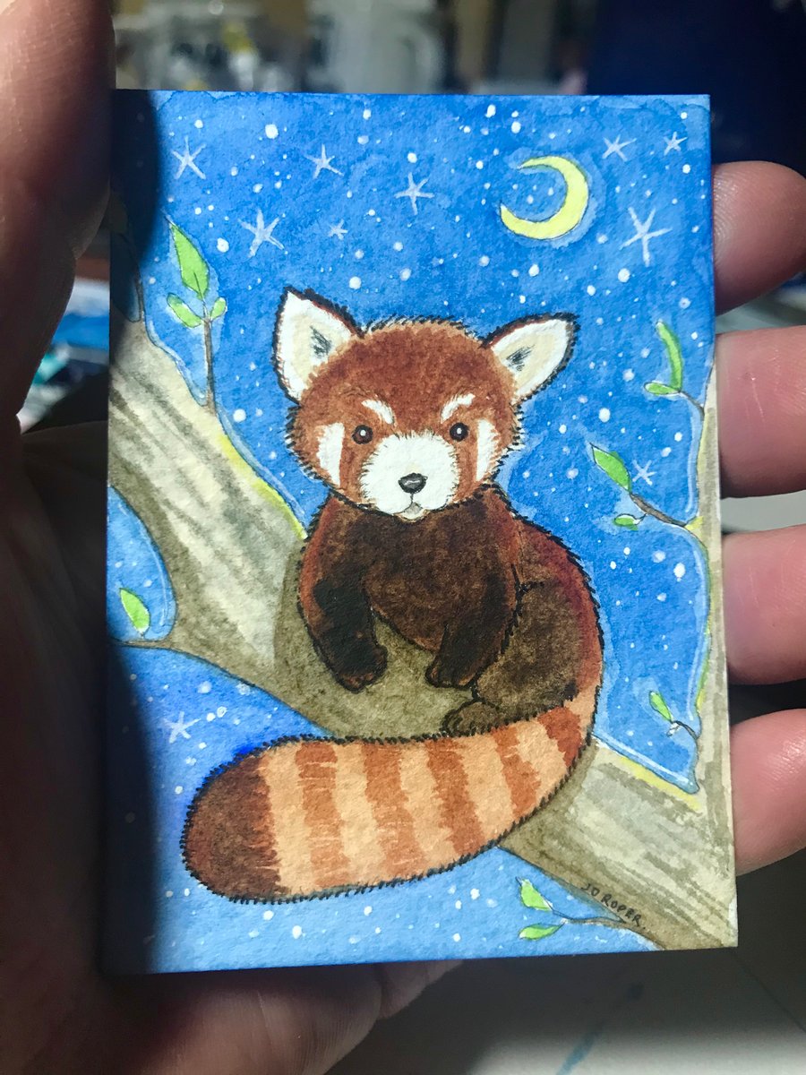 Original ACEO Climbing red panda baby ACEO Jo Roper