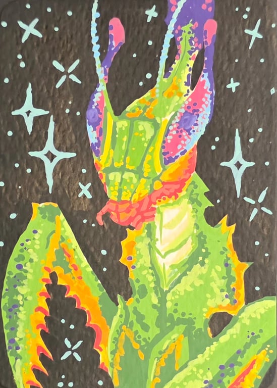 Mantis - Entemology - ACEO