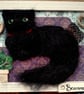 Personalised Pet Portrait - Image 4