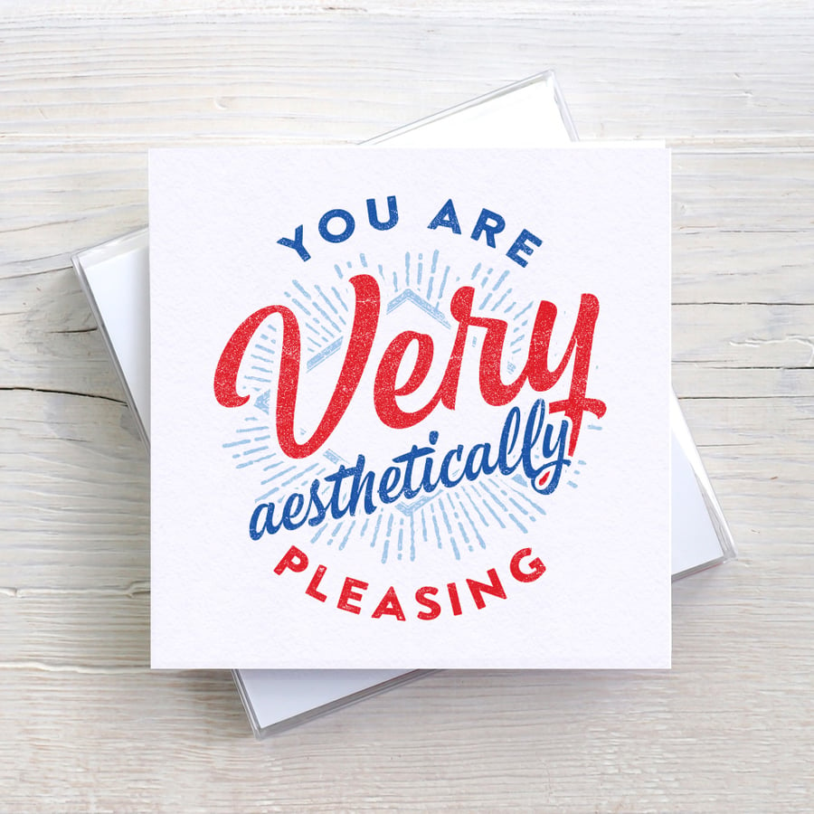 Aesthetically Pleasing Funny Valentine's Blank Greetings card