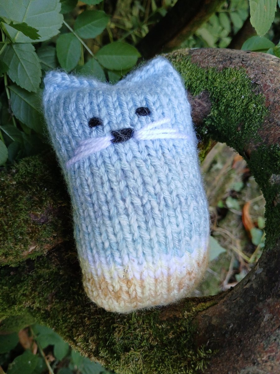 FISTRAL the Cornish seaside cat-knit