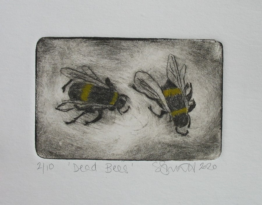 Moody drypoint etching 'Dead Bees'