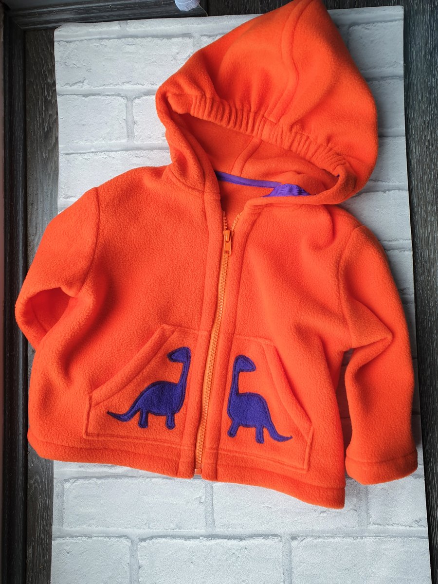 Fleece hooded jacket with dinosaur applique detail