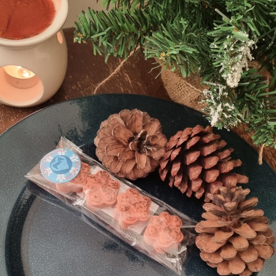 Christmas Fragrance Soy Wax Melt Paws 4 Pack Nutcracker Scent Stocking Filler