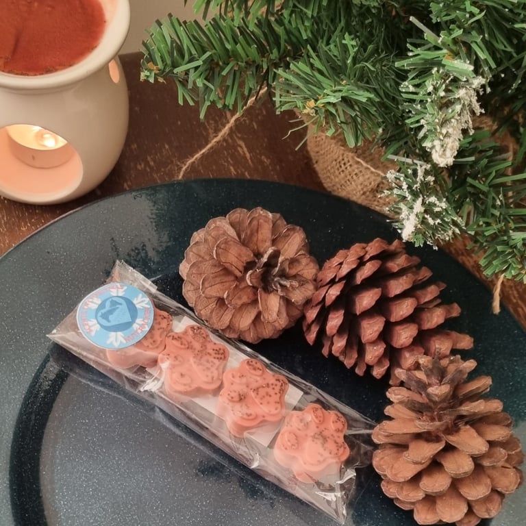 Christmas Fragrance Soy Wax Melt Paws 4 Pack Nutcracker Scent Stocking Filler