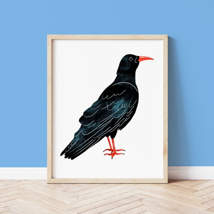 Cornish Chough Print, Chough Illustrated Art Print