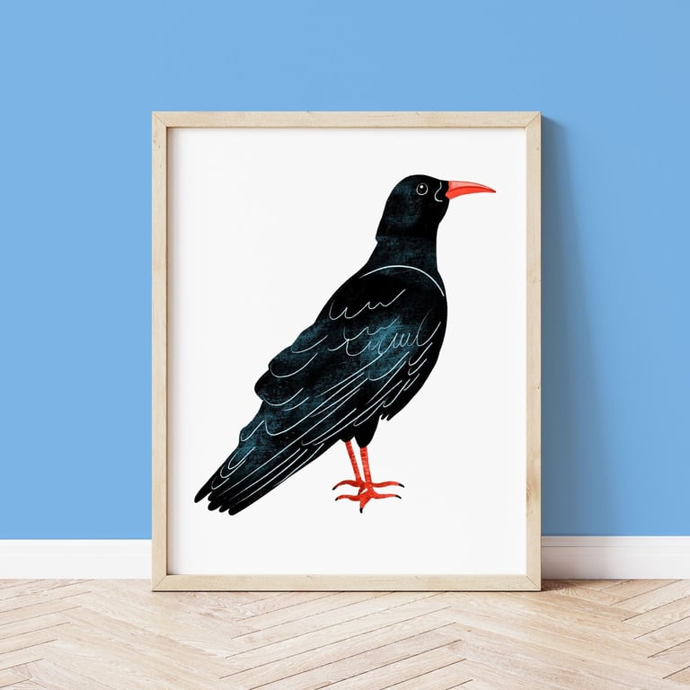 Cornish Chough Print, Chough Illustrated Art Print