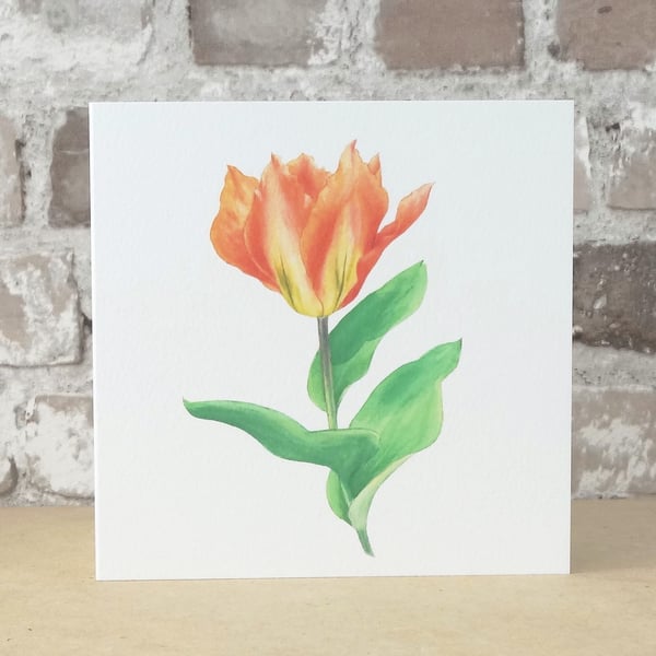 Blank Card Tulip Orange Emperor Floral Card