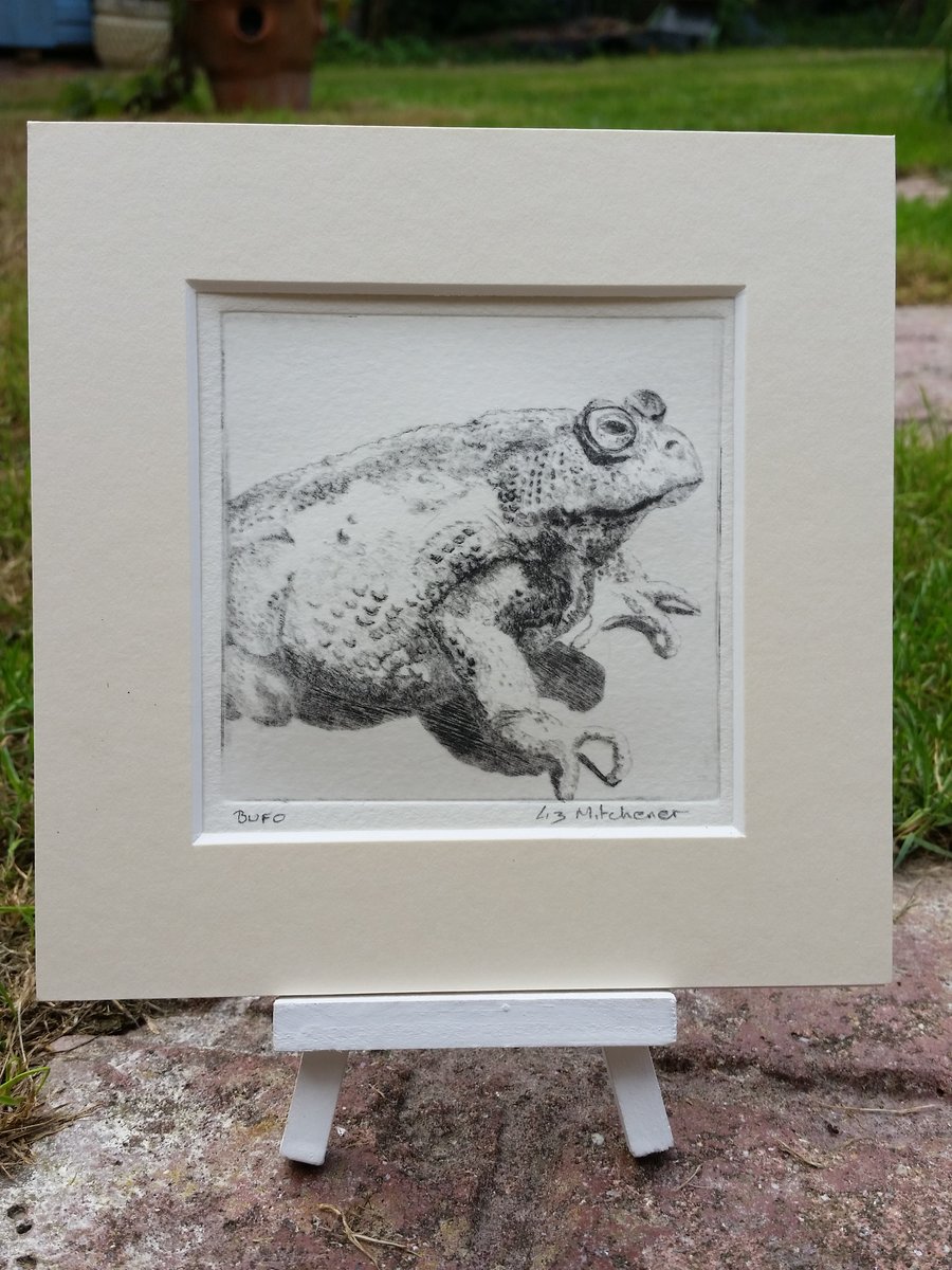 Original signed drypoint of Bufo the toad