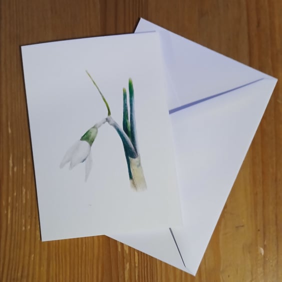 One Snowdrop hand made card