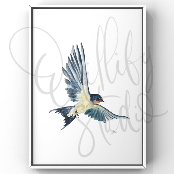 Watercolour Print Swallows Douglas