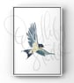 Watercolour Print Swallows Douglas - Image 1