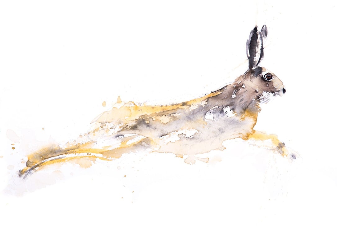 Chancer - Signed limited Edition Print of my Original Water Colour Painting of a