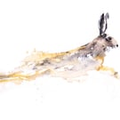 Chancer - Signed limited Edition Print of my Original Water Colour Painting of a