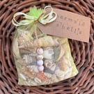 Craft Supplies Natural Shells 250 grams