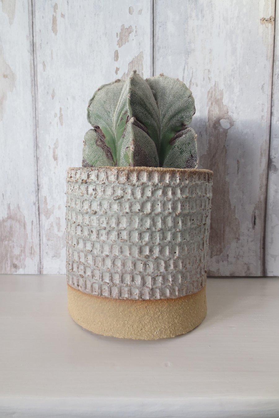 Hand-built stoneware pottery textured plant pot in white