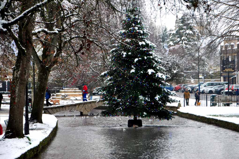 Bourton On The Water Christmas Tree Photograph Print