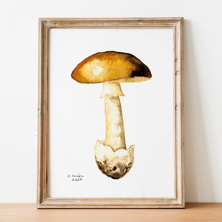 Deathcap A5 Inkjet Print