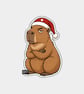 Unique Funny Christmas Gift Tags For Adults, 6pk - Moody Capybara