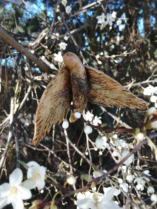 Nature Sprite Wall Art for outdoors and indoors