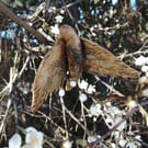 Nature Sprite Wall Art for outdoors and indoors