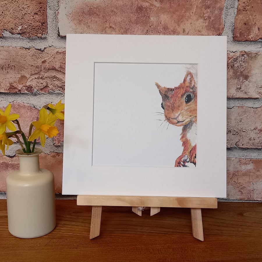 Squirrel mounted art print