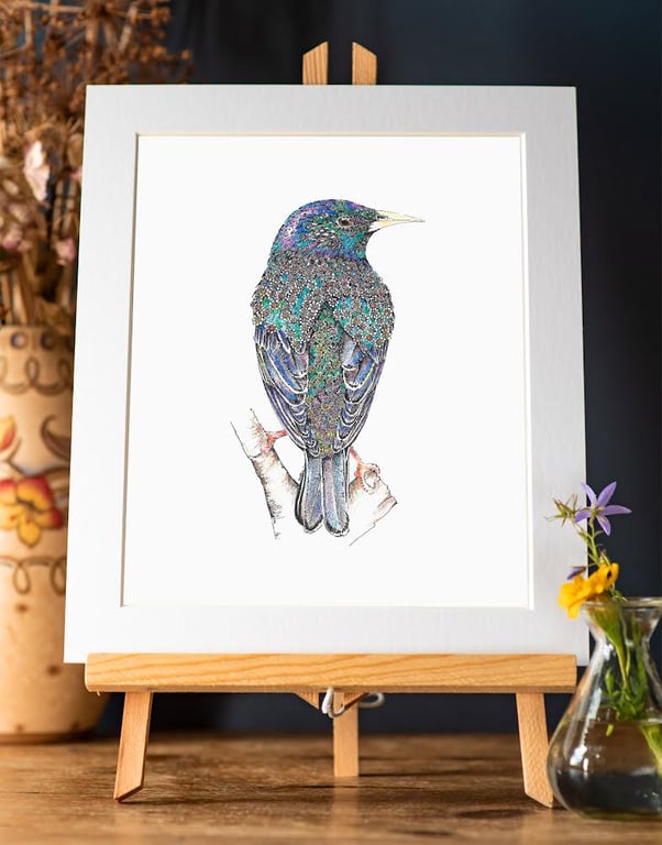  Starling Art Print 